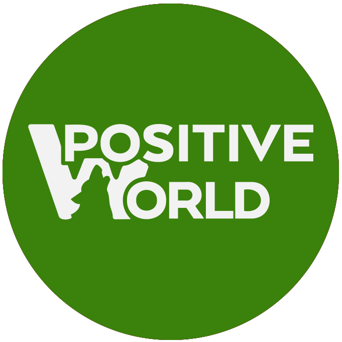 Logo Positive World - site WondrWorld